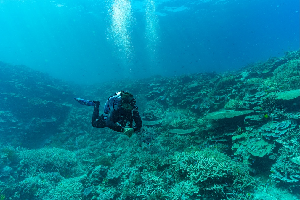 A scuba diver swimming horizontally over a sprawling, vibrant coral reef in clear blue water, with sunlight and bubbles rising toward the surface