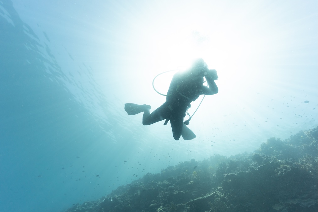 A backlit silhouette of a scuba diver holding an underwater camera, swimming over a reef surrounded by small fish, with bright sunlight directly behind them