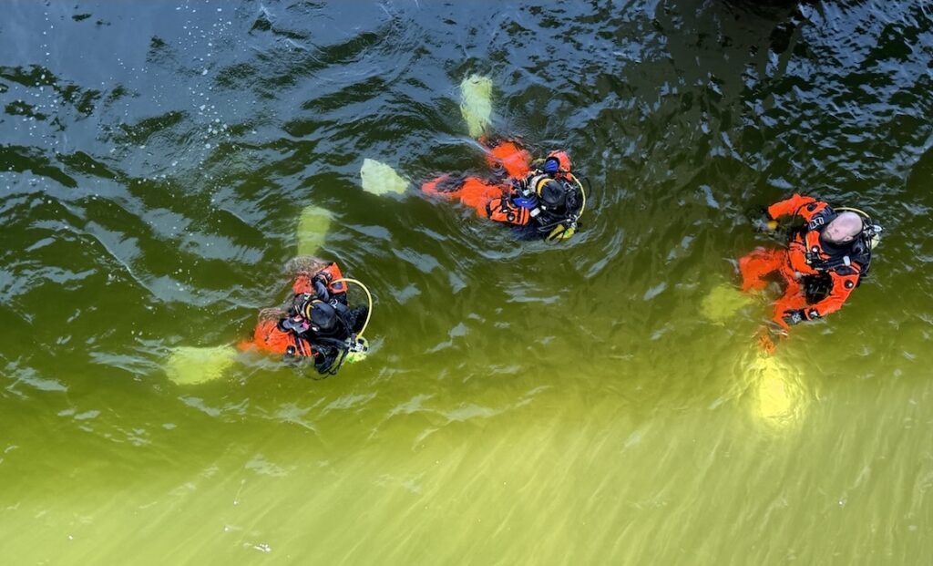 High-angle view of three public safety divers wearing high-vis orange suits floating on the surface of green water