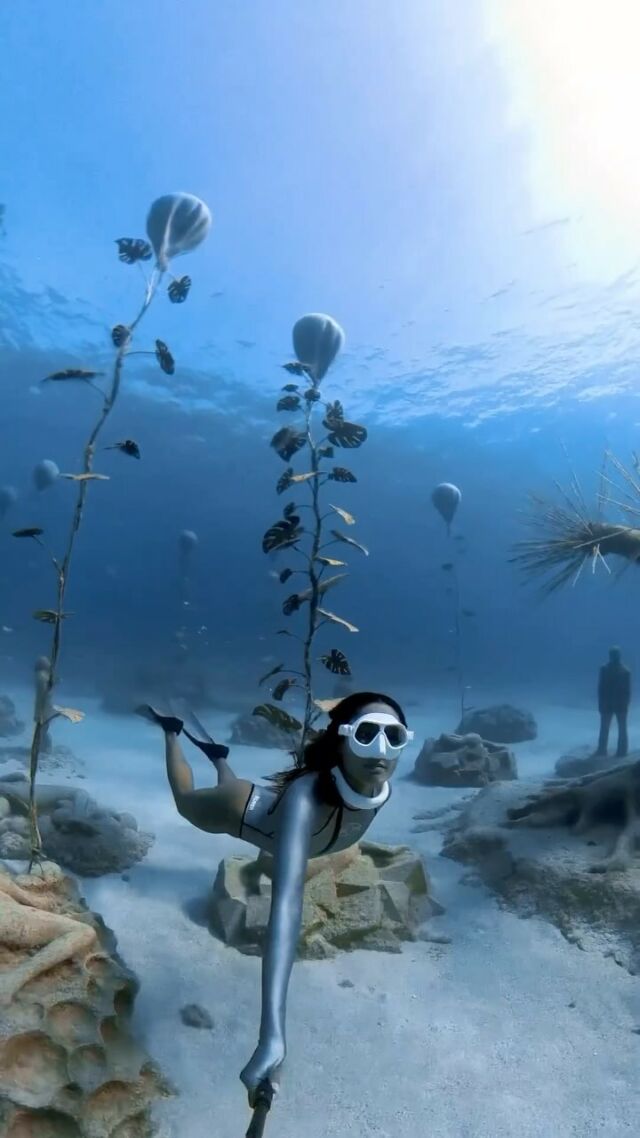 The Most Dangerous Sea Creatures - Scuba.com