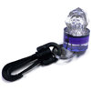 Trident Water Activated LED Light Blue