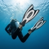 Cressi Frog-Plus Fins with Bungee Straps Black