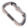 NRS Public Safety SMC Force D Screw-Lok Carabiner Silver