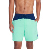 Speedo Marina Flex Volley 17" Boardshorts for Men Blue