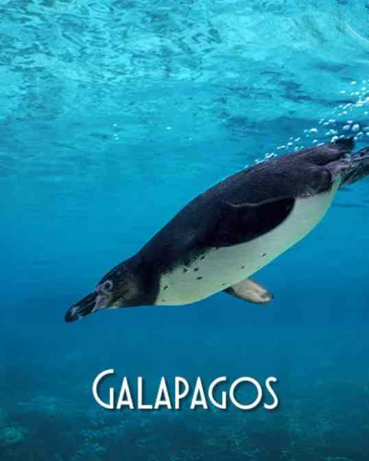 Galapagos