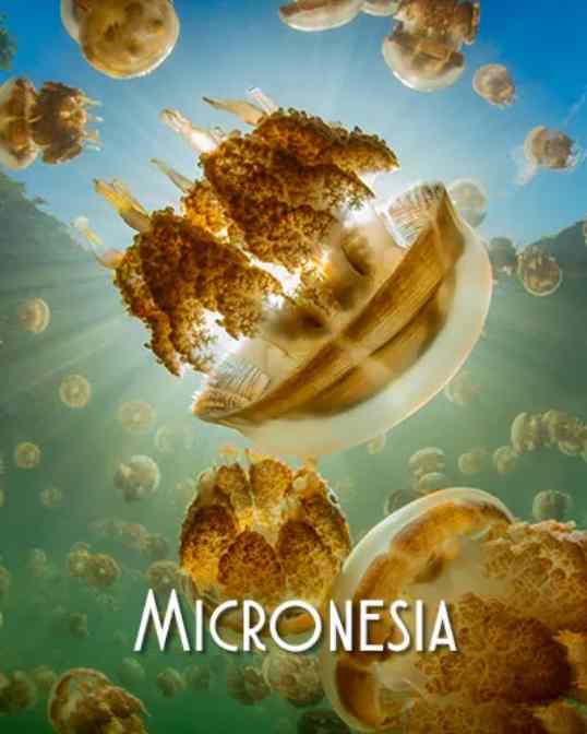 Micronesia