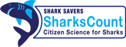 Shark Savers