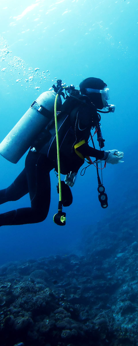 Ikarus and Orion Mask/snorkel combo - Scuba diving Costa Rica