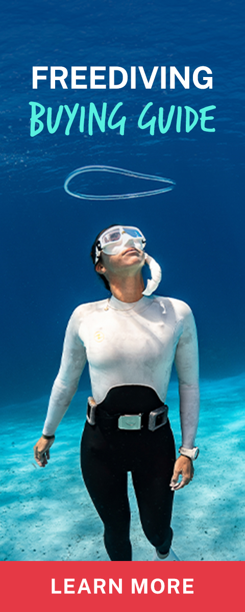 Freediving