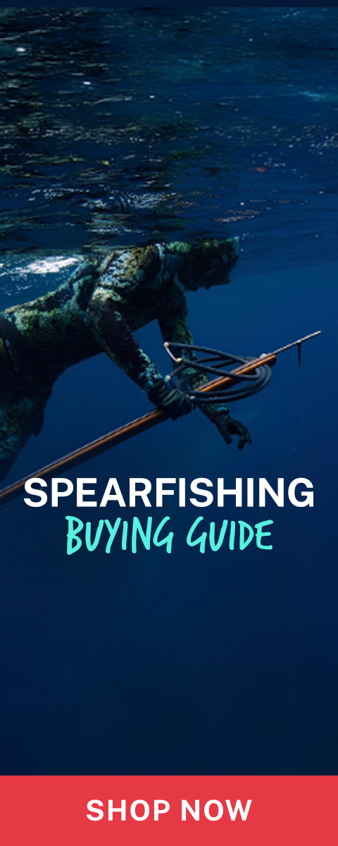 Spearfishing