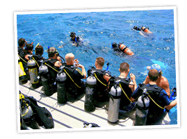 Divers with Tanks