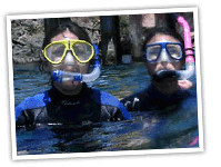Using Snorkel on Surface